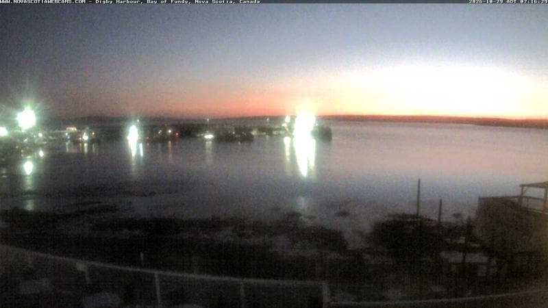 Digby Harbour