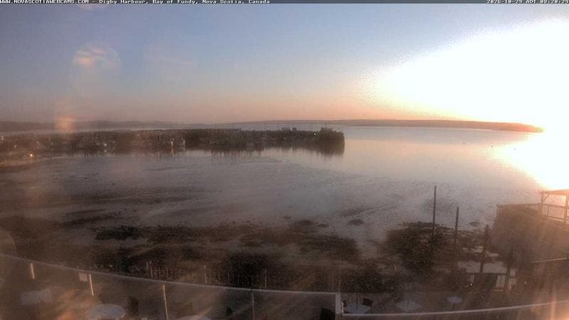Digby Harbour
