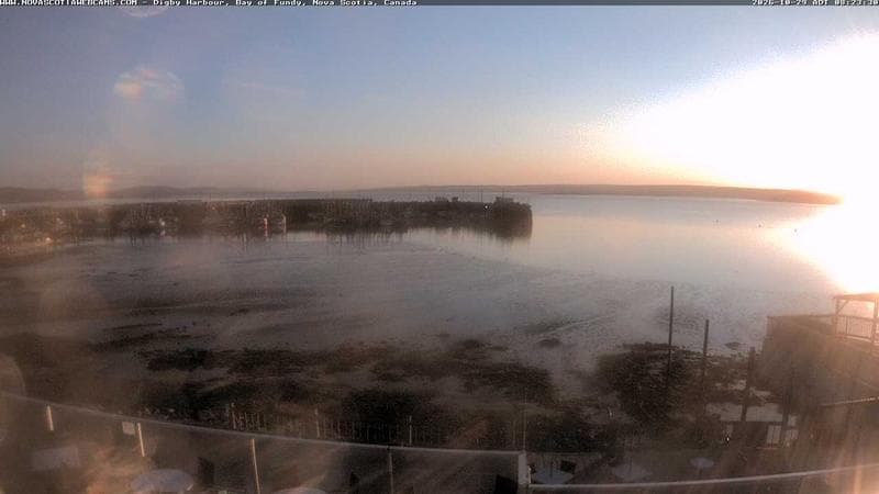 Digby Harbour