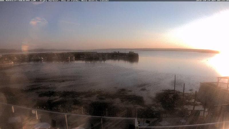 Digby Harbour