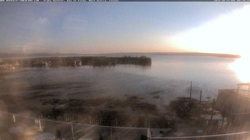 Digby Harbour