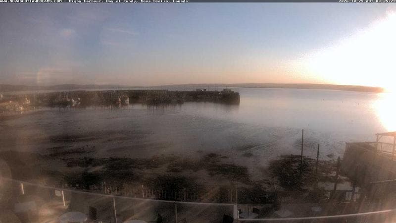 Digby Harbour