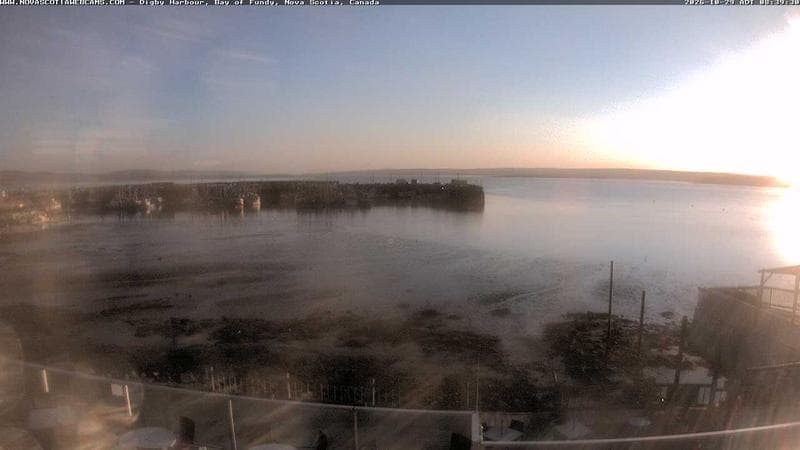 Digby Harbour