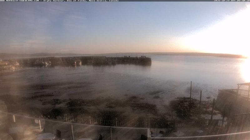 Digby Harbour