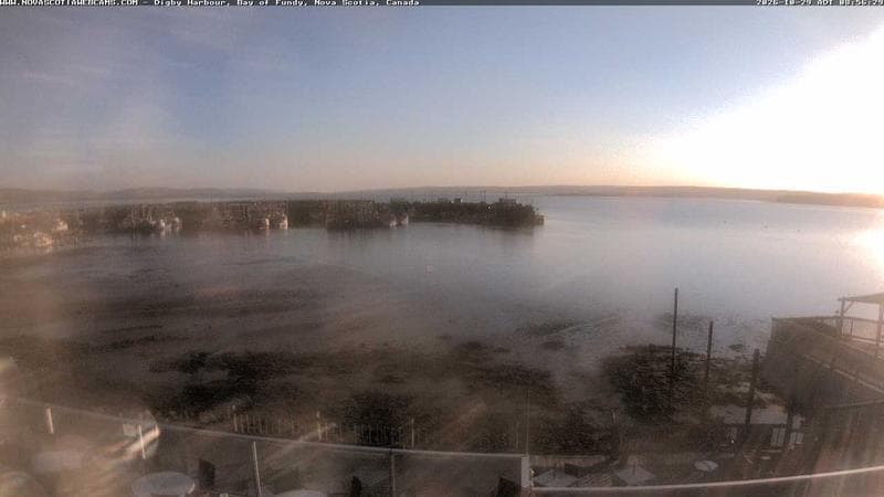 Digby Harbour