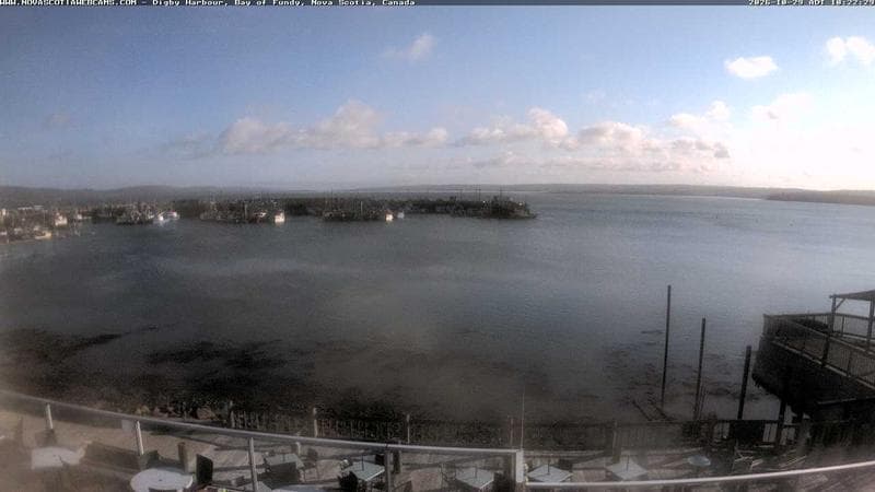 Digby Harbour