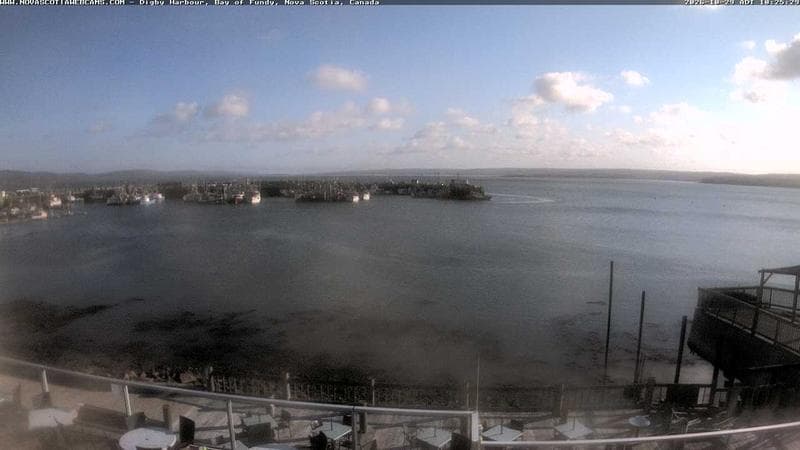Digby Harbour