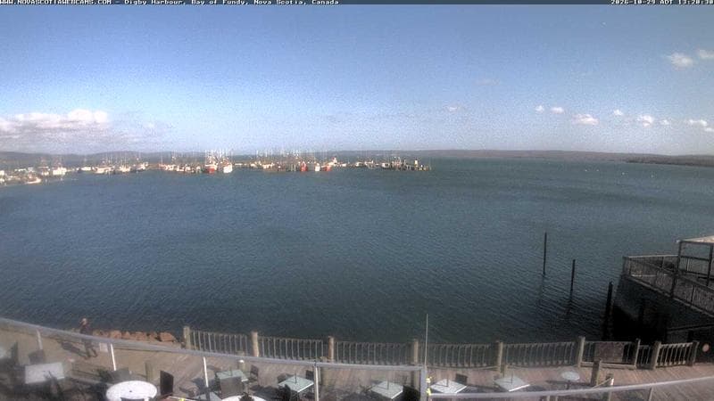 Digby Harbour