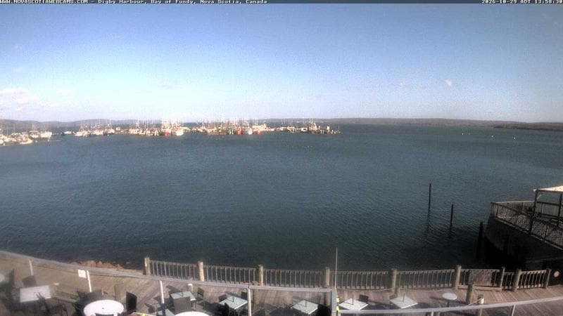 Digby Harbour