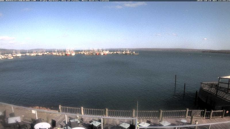 Digby Harbour