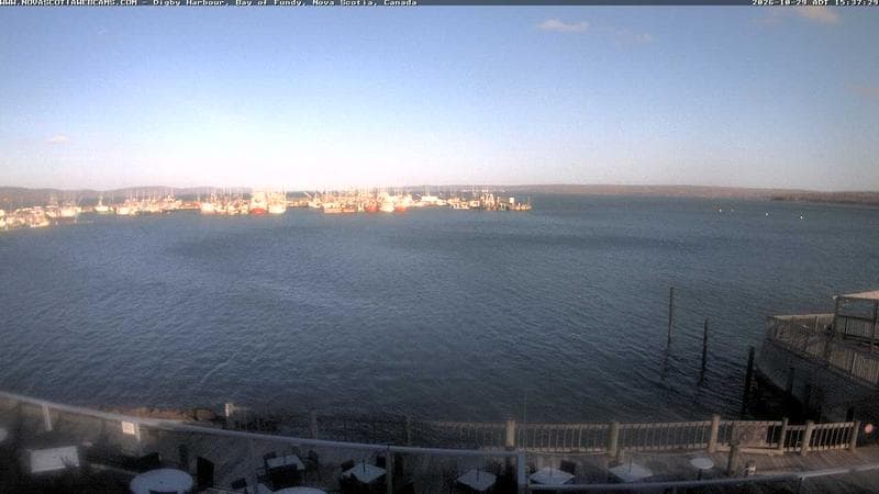 Digby Harbour