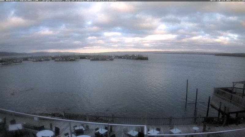 Digby Harbour