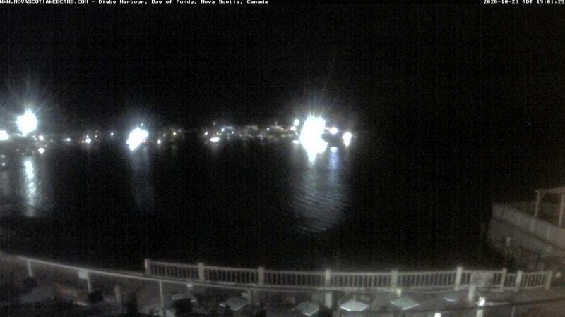 Digby Harbour