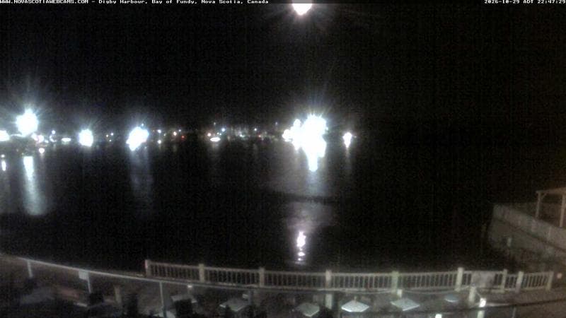 Digby Harbour