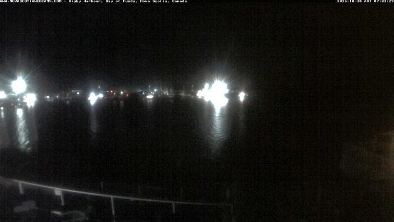 Digby Harbour