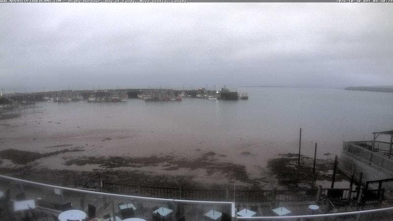 Digby Harbour