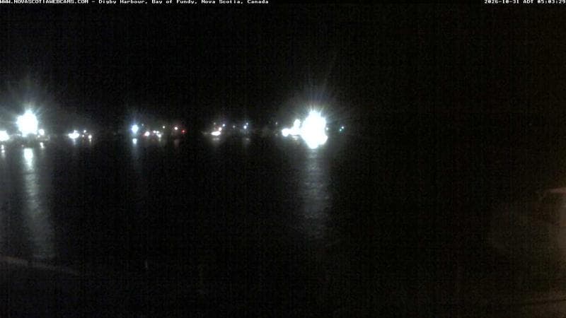 Digby Harbour
