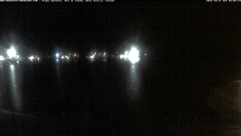 Digby Harbour