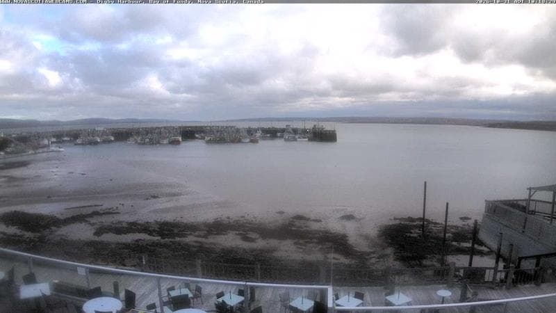 Digby Harbour