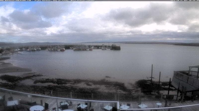 Digby Harbour