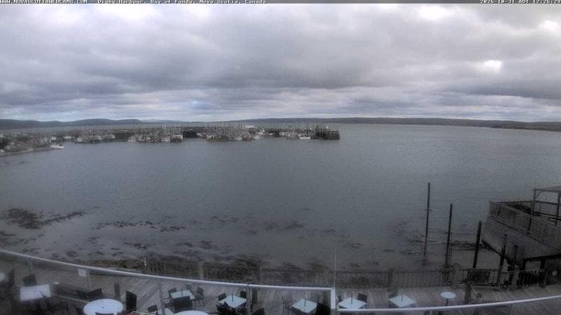 Digby Harbour