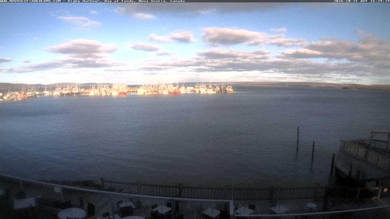 Digby Harbour