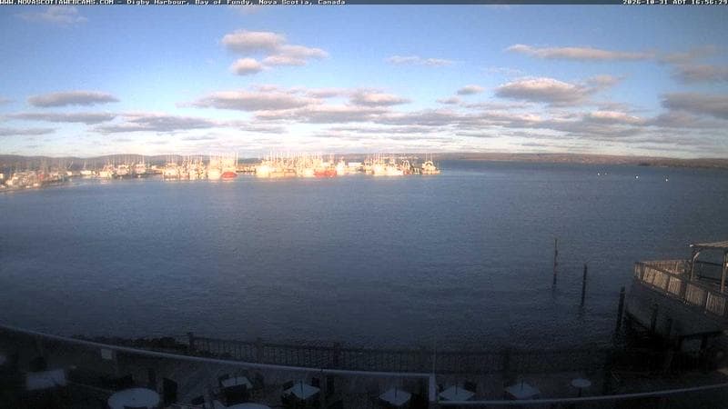 Digby Harbour