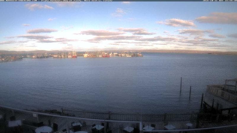 Digby Harbour