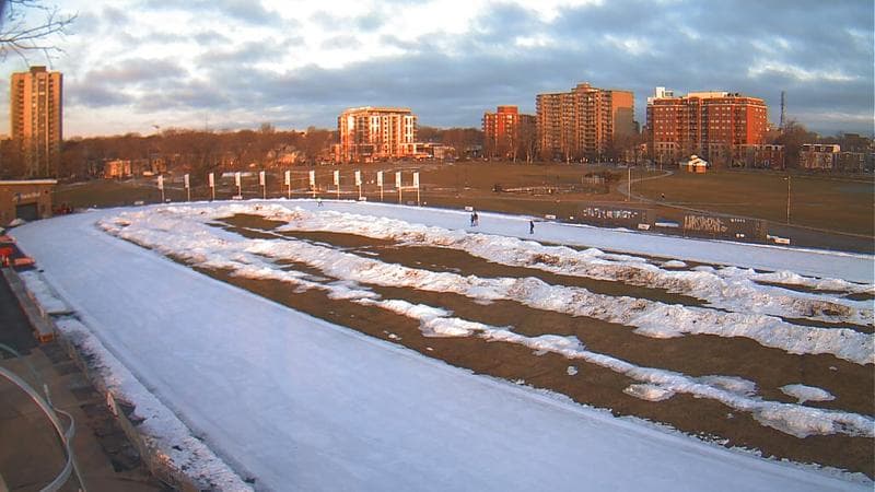 Emera Oval