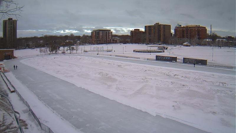 Emera Oval