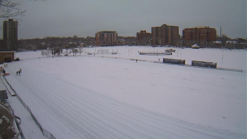 Emera Oval