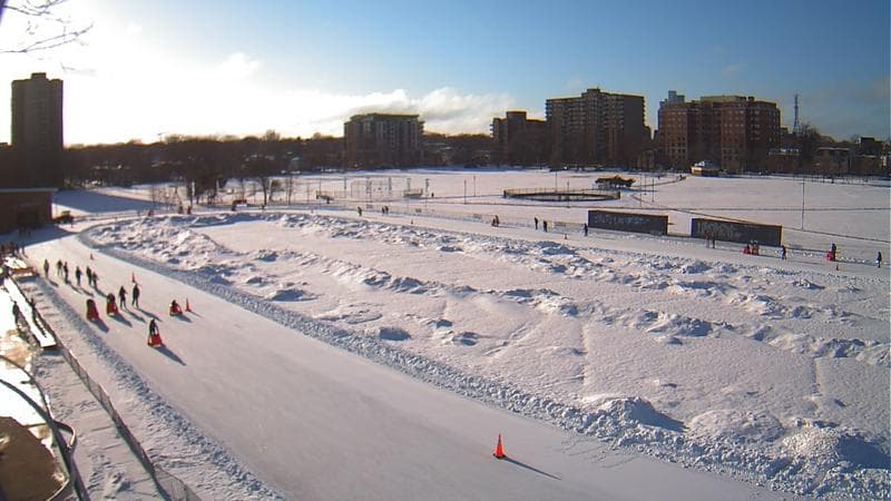 Emera Oval