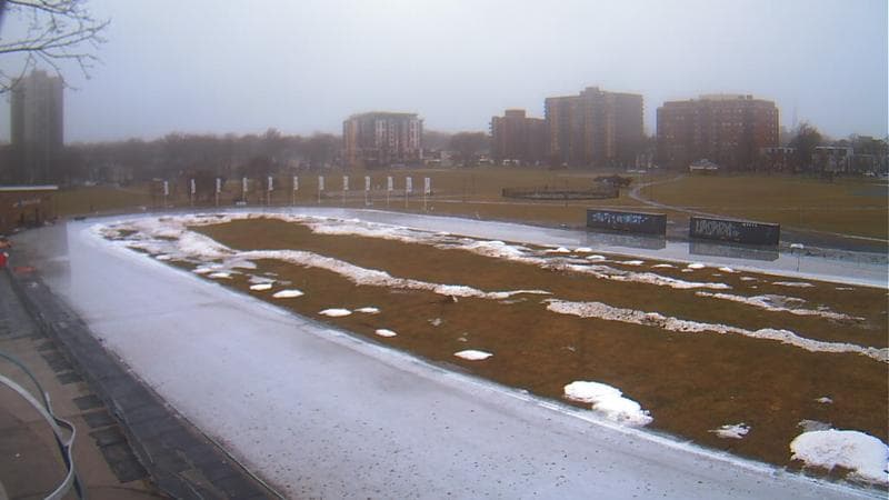 Emera Oval