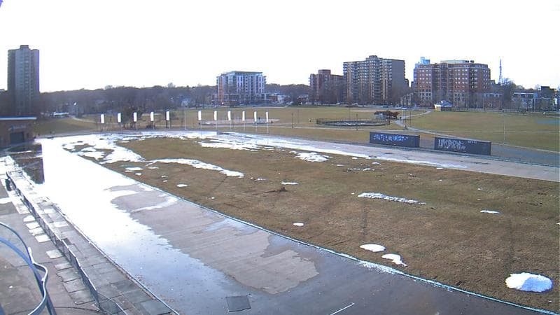 Emera Oval