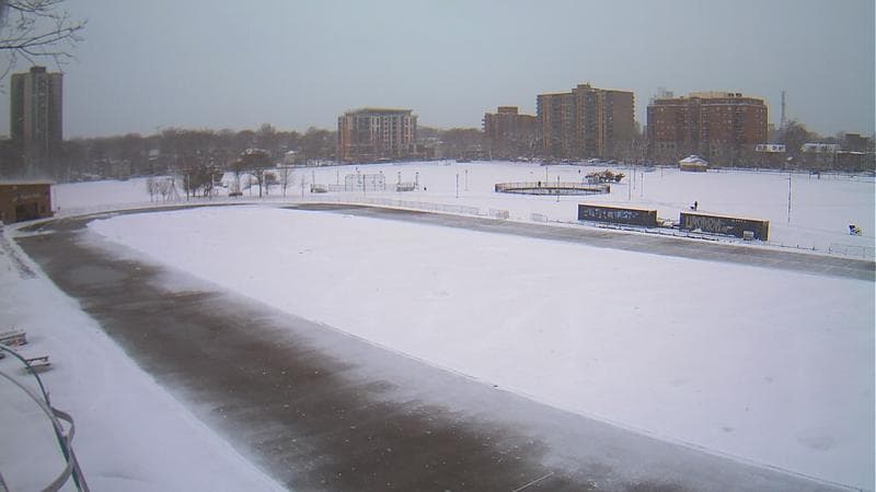 Emera Oval