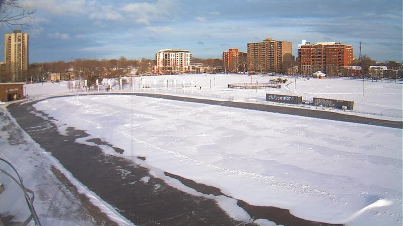 Emera Oval