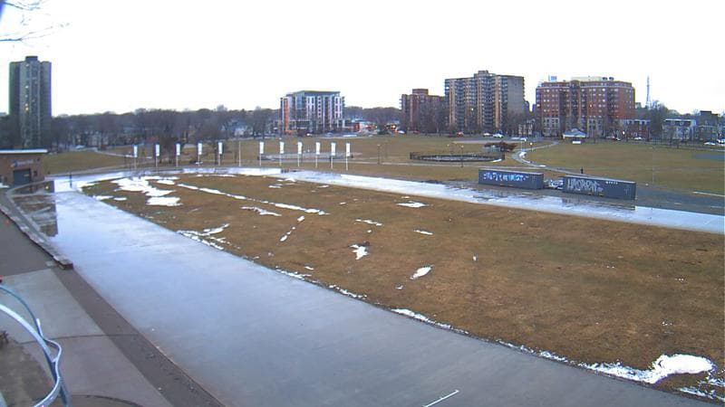 Emera Oval