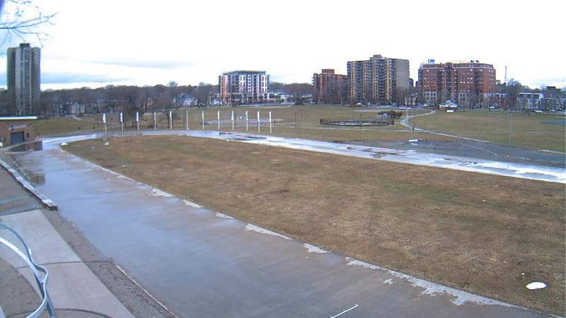 Emera Oval