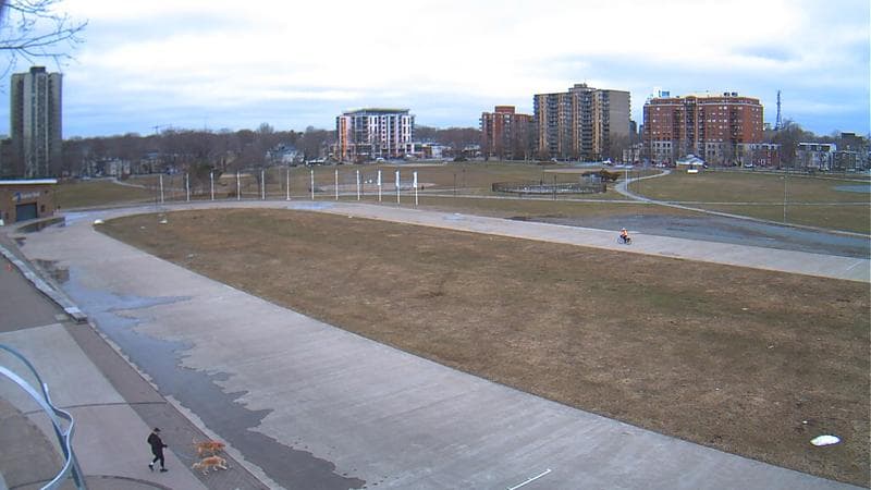Emera Oval
