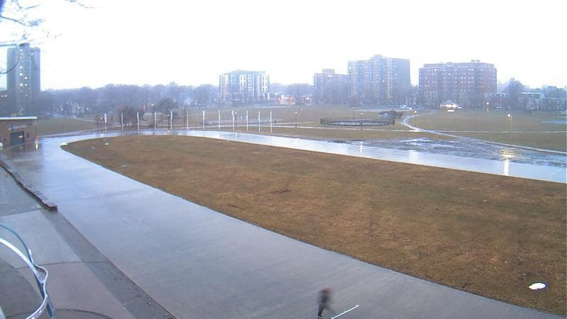 Emera Oval