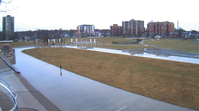 Emera Oval