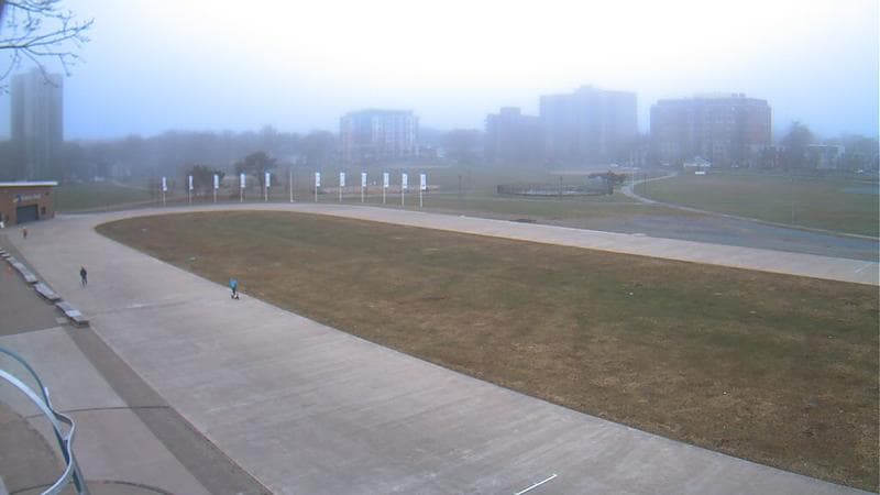Emera Oval