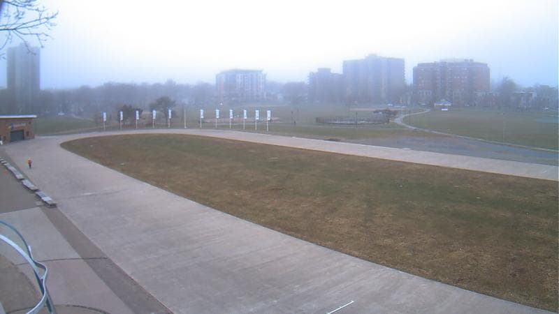 Emera Oval