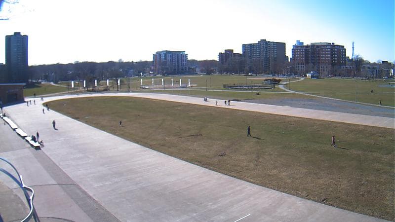 Emera Oval