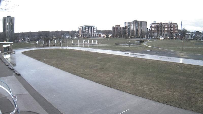 Emera Oval