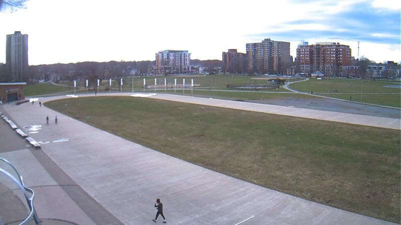 Emera Oval