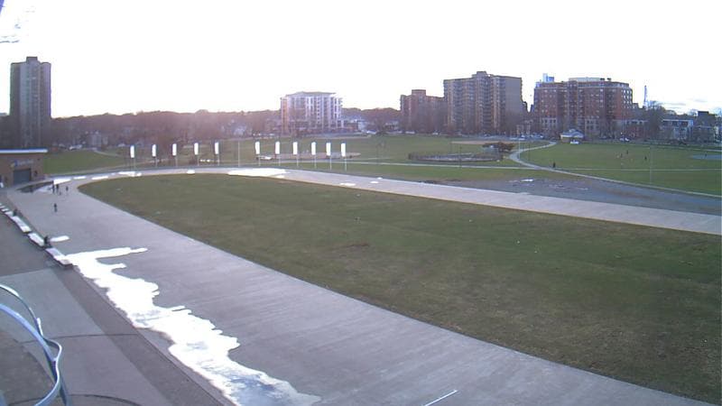 Emera Oval