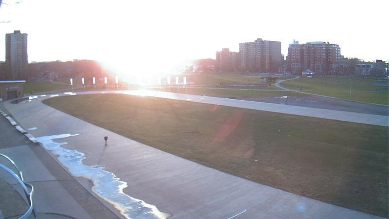 Emera Oval