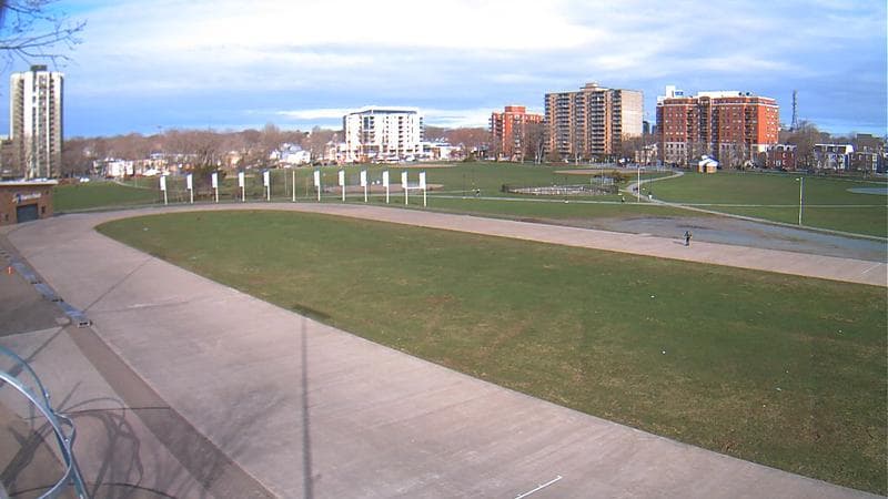 Emera Oval