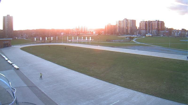 Emera Oval